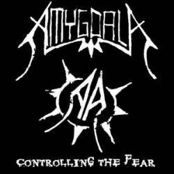 Amygdala : Controlling the Fear